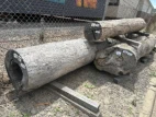 Hardwood Landscape Logs 'B-grade'