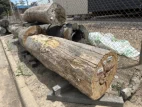 Hardwood Landscape Logs 'B-grade'