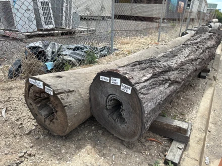 Hardwood Landscape Logs 'B-grade'