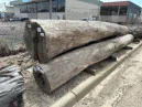 Hardwood Landscape Logs 'B-grade'